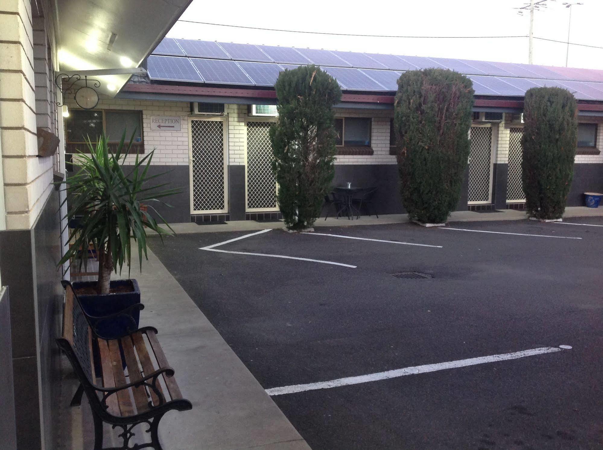 Tamworth Central Motel Eksteriør billede